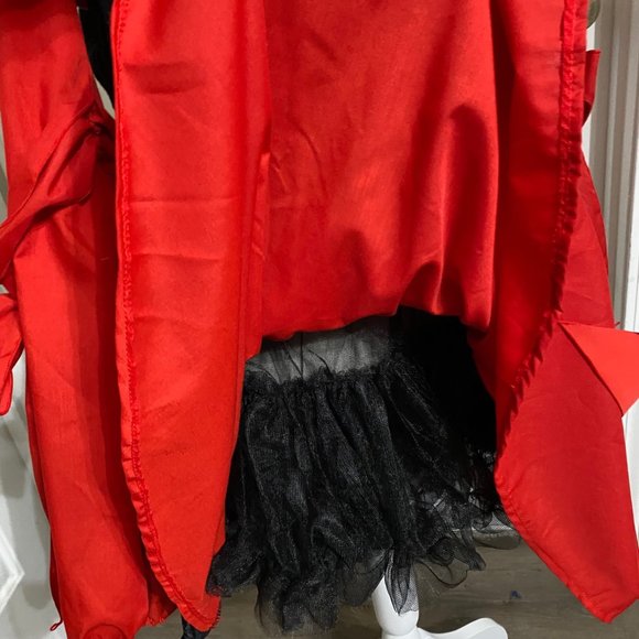 Gypsy Costume - Womens Plus Size - Picture 7 of 13